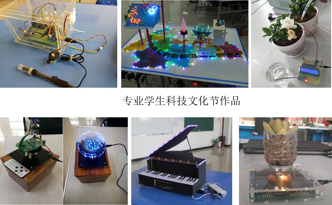 图8 科技文化节学生作品.jpg